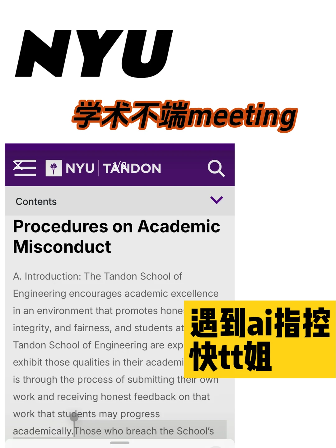NYU学术不端约meeting别着急 来看解决方案