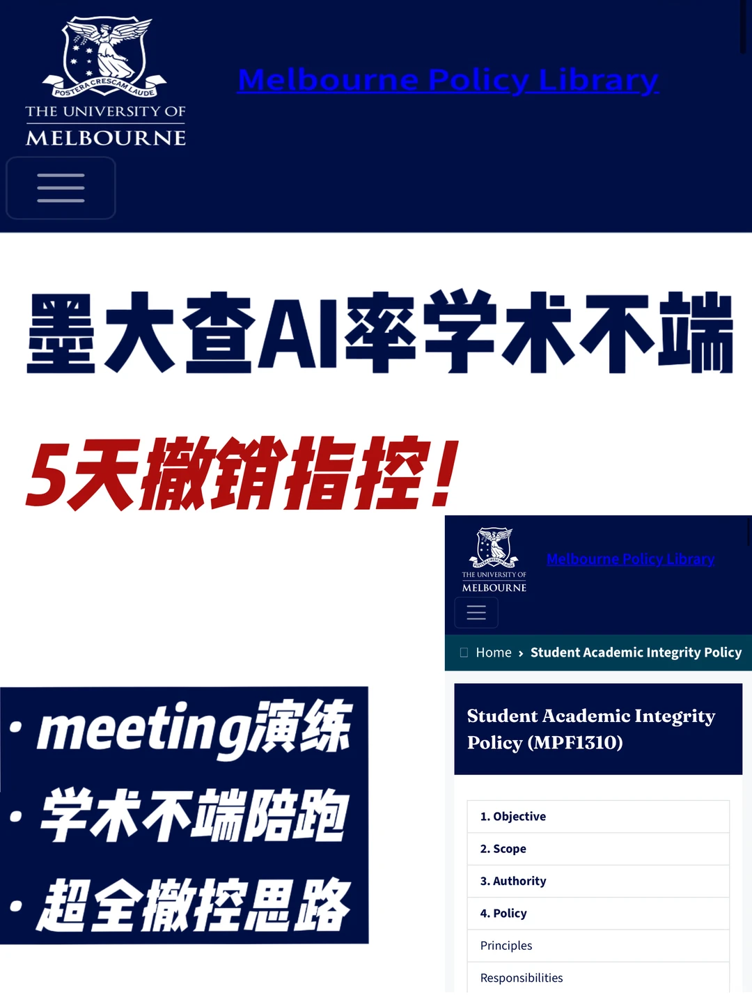 🇦🇺墨大学术不端 Turnitin算法误判也能撤！ — 内容图片 1