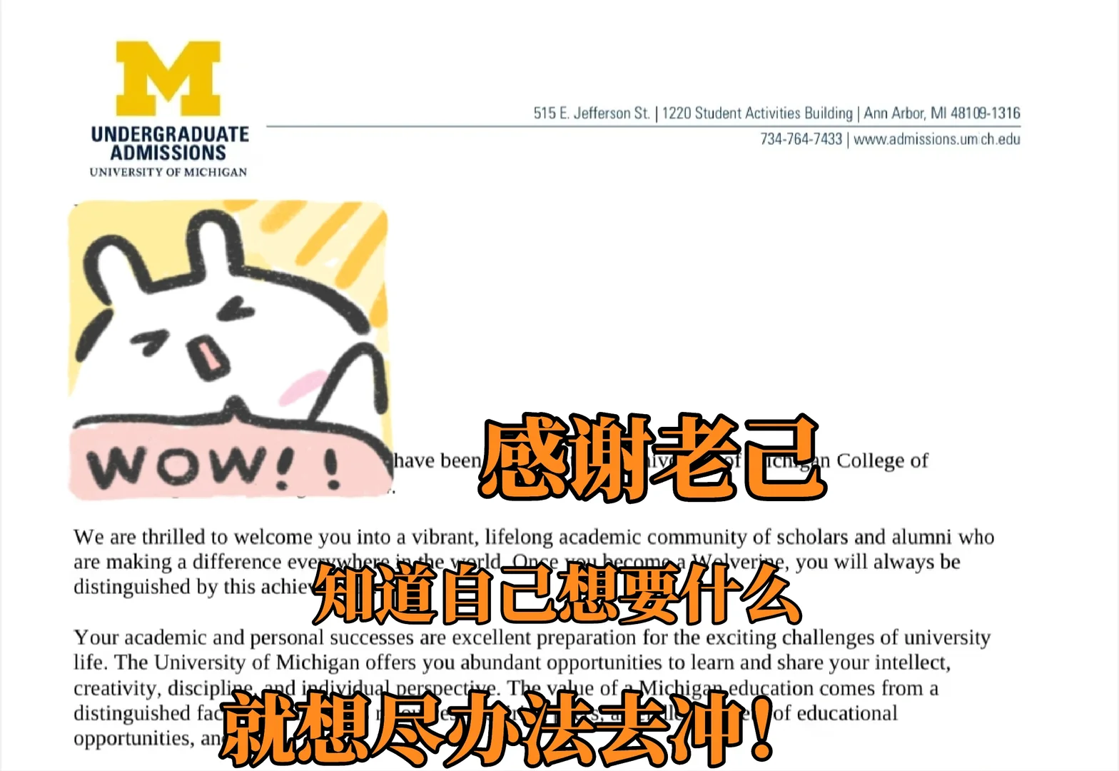 umich转正，早argue的鸟儿有offer～ — 内容图片 1