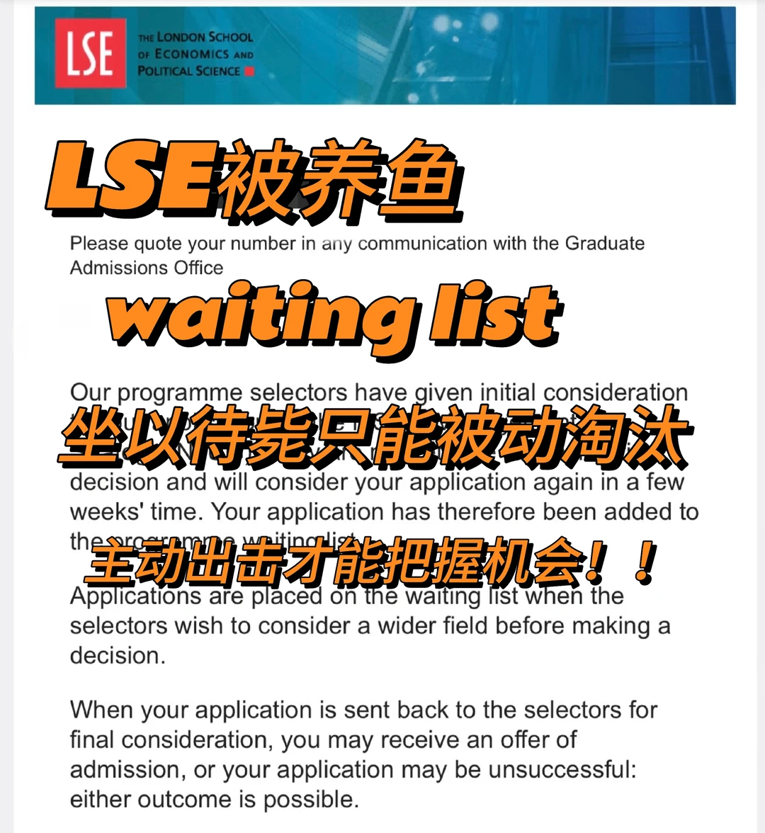 lse被养鱼，argue争取到了转正机会！！ — 内容图片 1