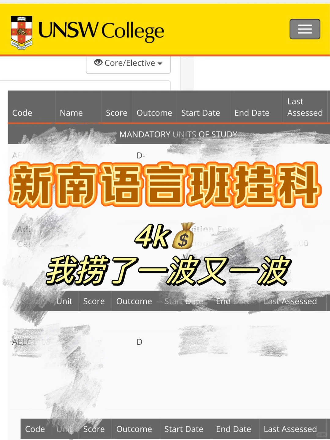 新南语言班挂科，4k💰就搞定靠谱么？！ — 内容图片 1