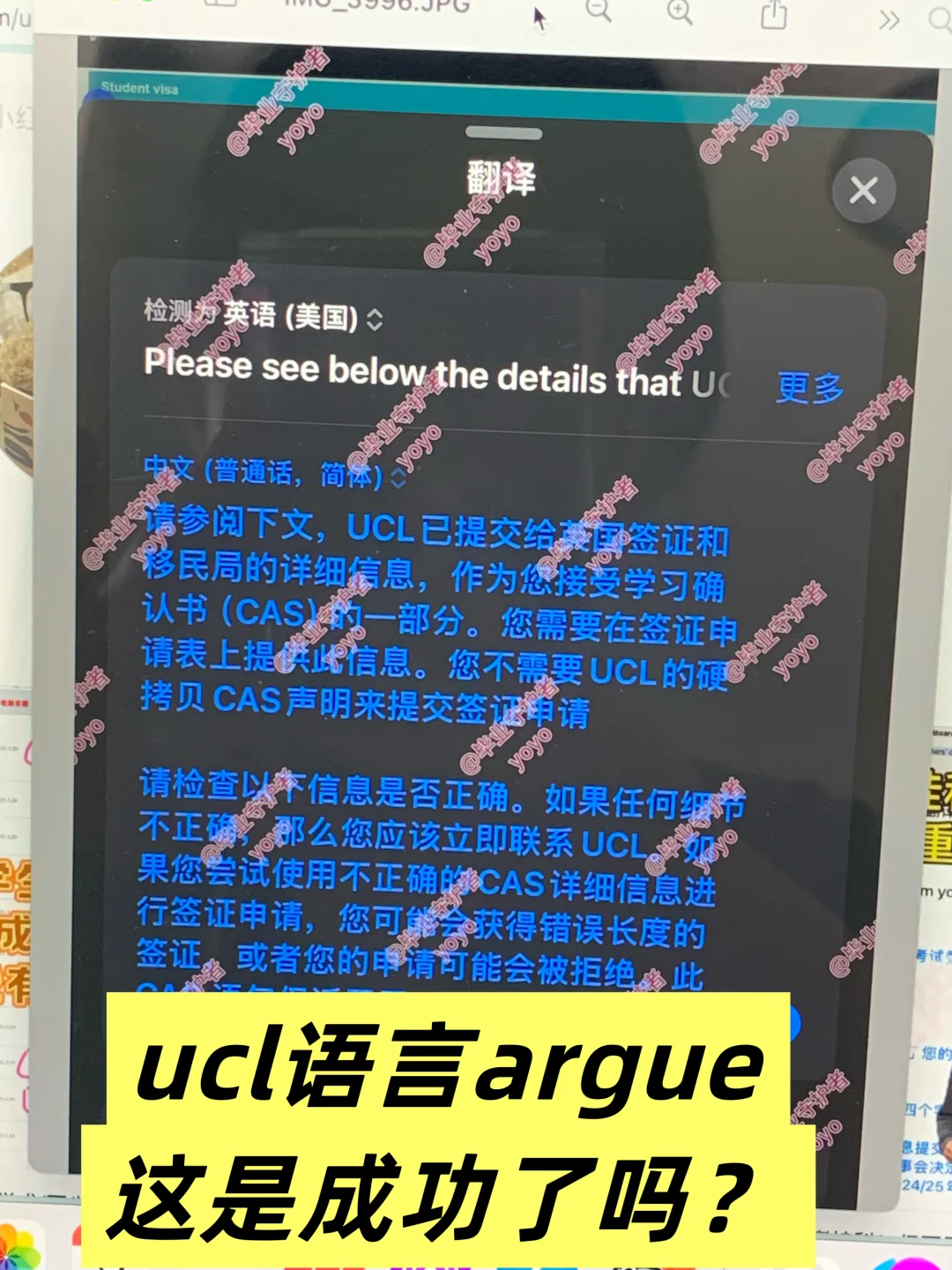 ucl语言argue！末班车又捞5个～想要uncon的来 — 内容图片 1
