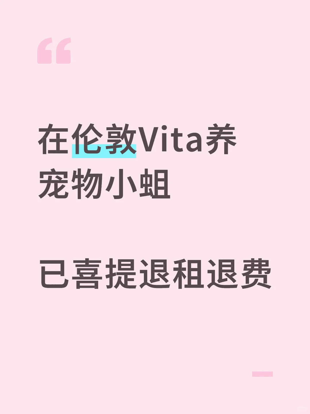 Vita虫患三次处理无效就该退 — 内容图片 1