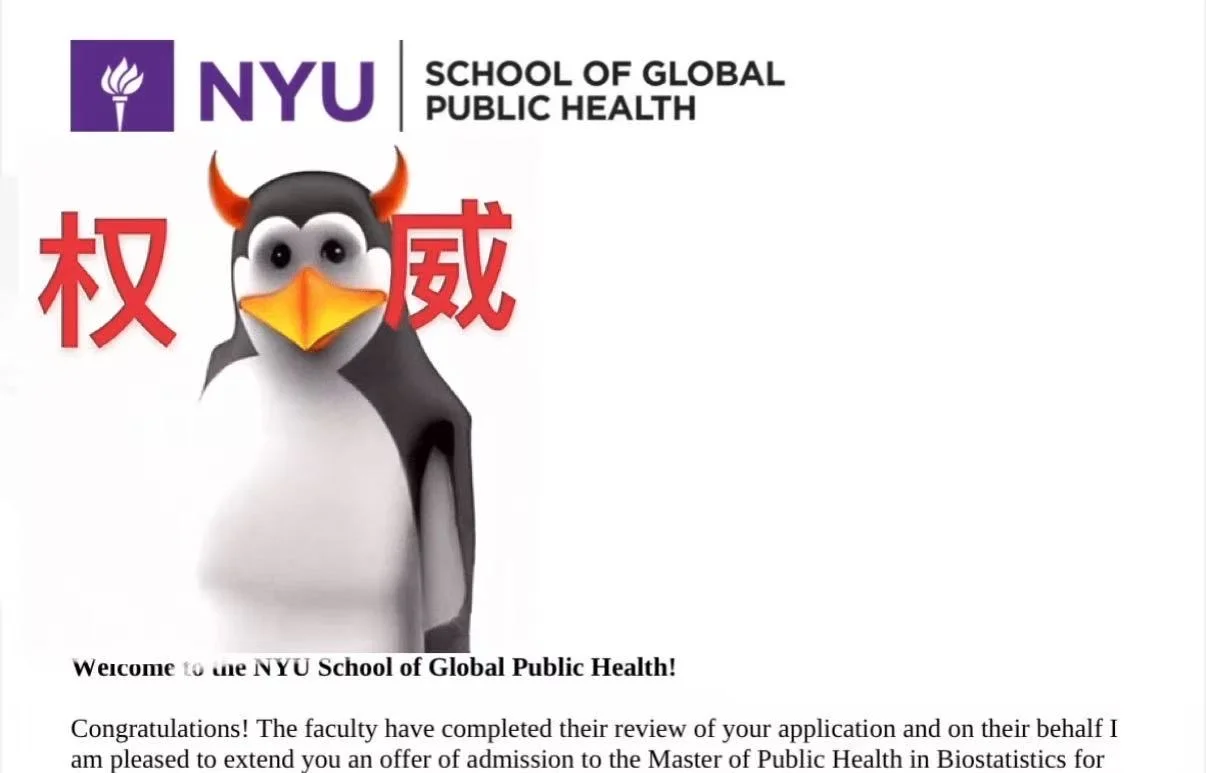 拒信3天逆袭NYU！文书救赎指南💡 — 内容图片 3