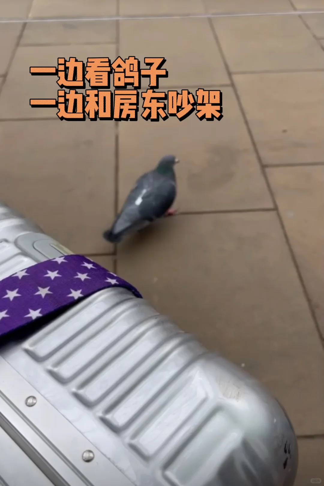 元旦遭华人房东驱逐？！一招维权拿回押金😡 — 内容图片 2