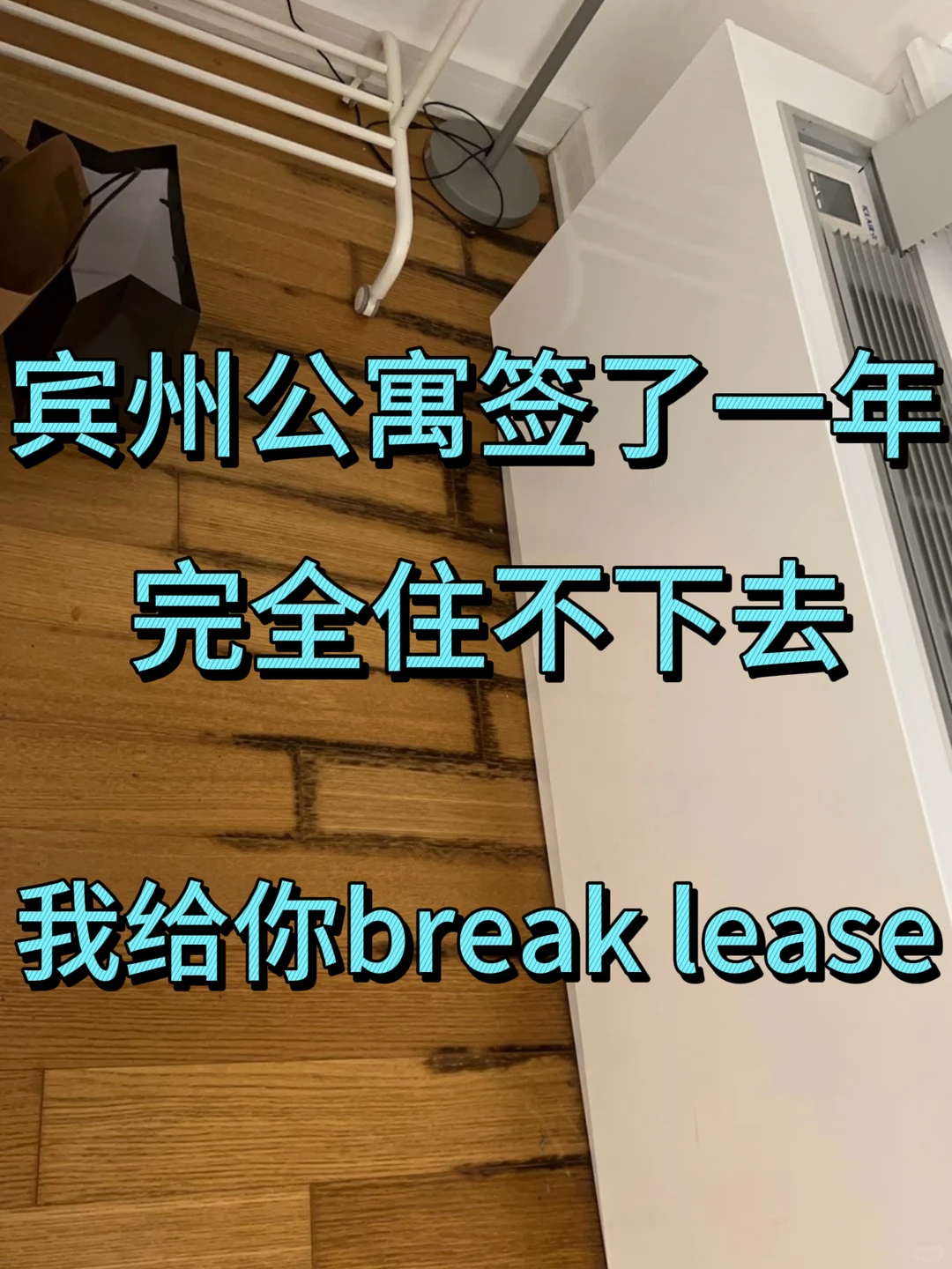 北美租约一年，住不下去也有路 — 内容图片 1
