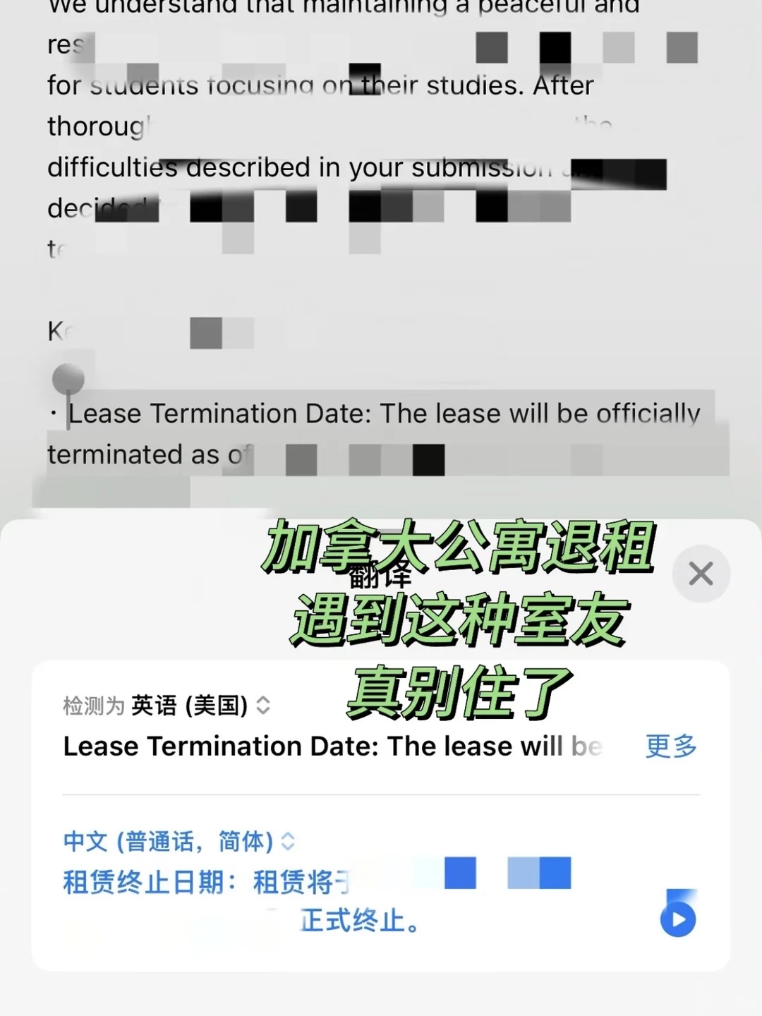 温哥华退租申诉绝了！室友带人？13600刀全省下！😱 — 内容图片 2