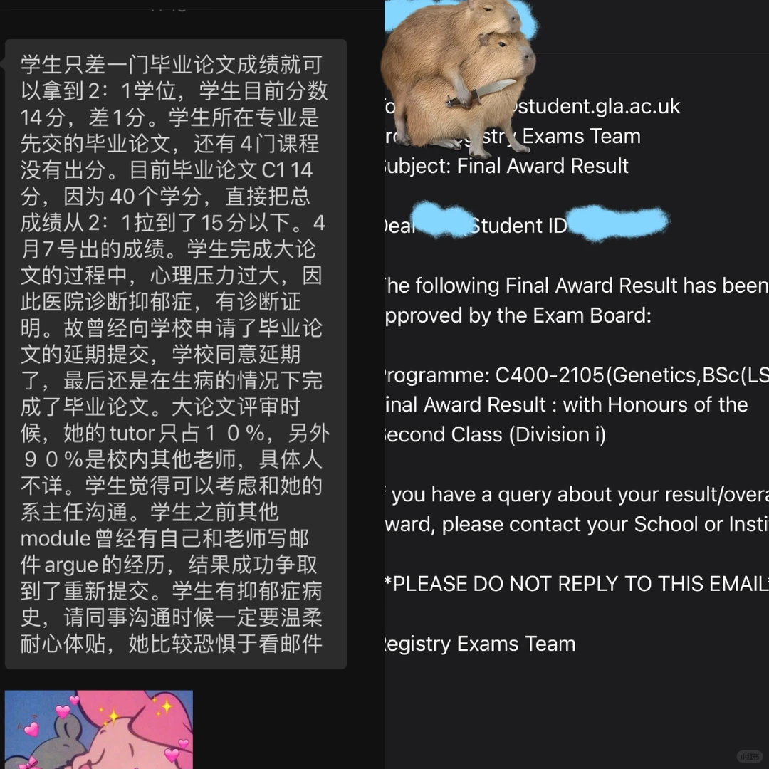 毕业论文申诉，感人没评分标准值钱 — 内容图片 1