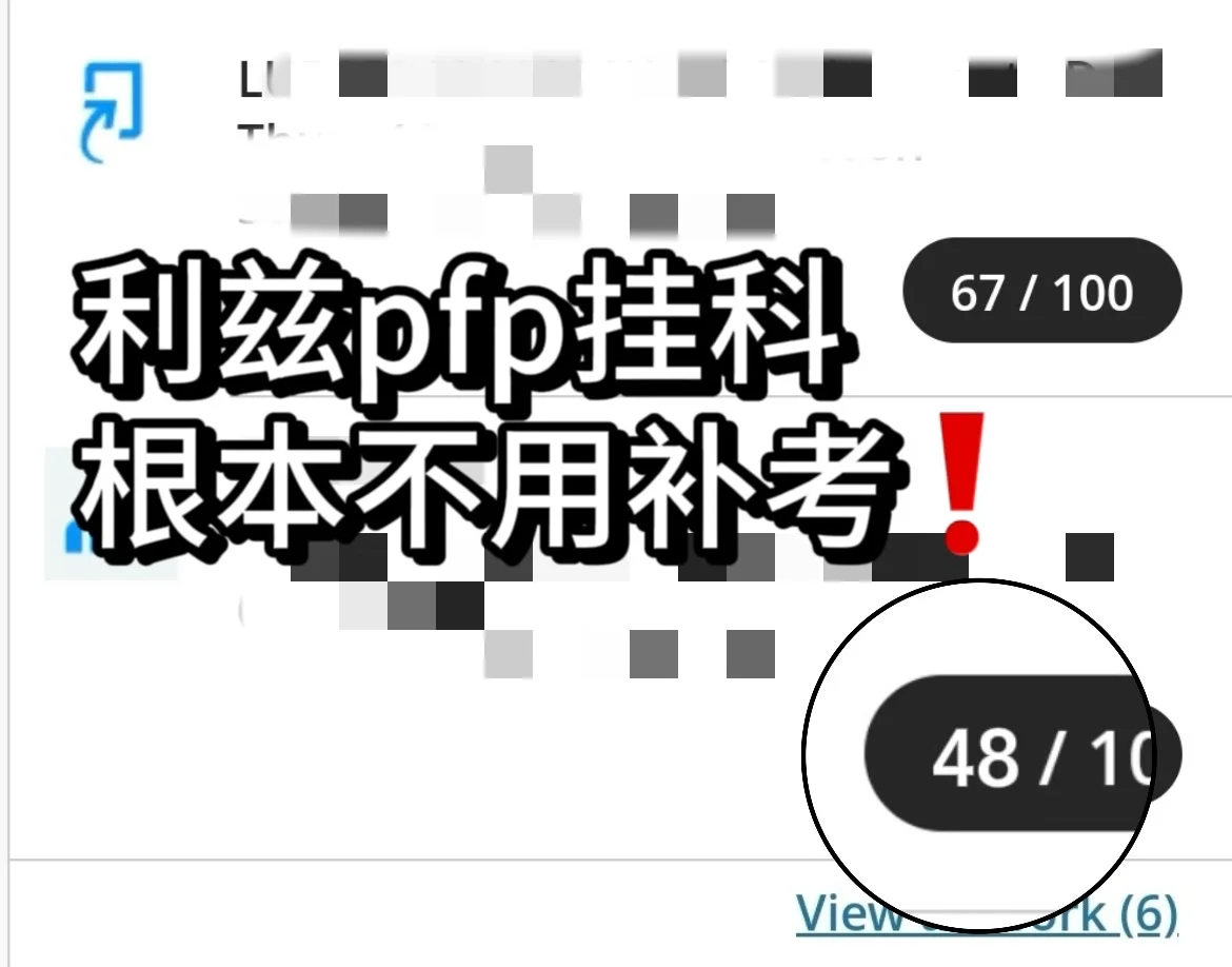 利兹PFP差两分就要换路线 — 内容图片 1