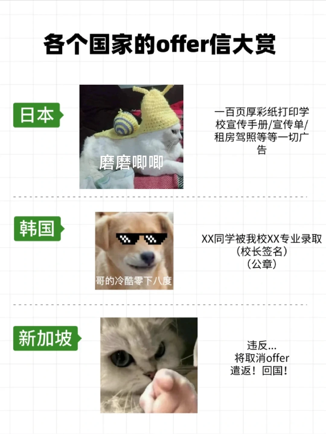 各个国家offer大赏！笑不活了哈哈哈哈哈 — 内容图片 2