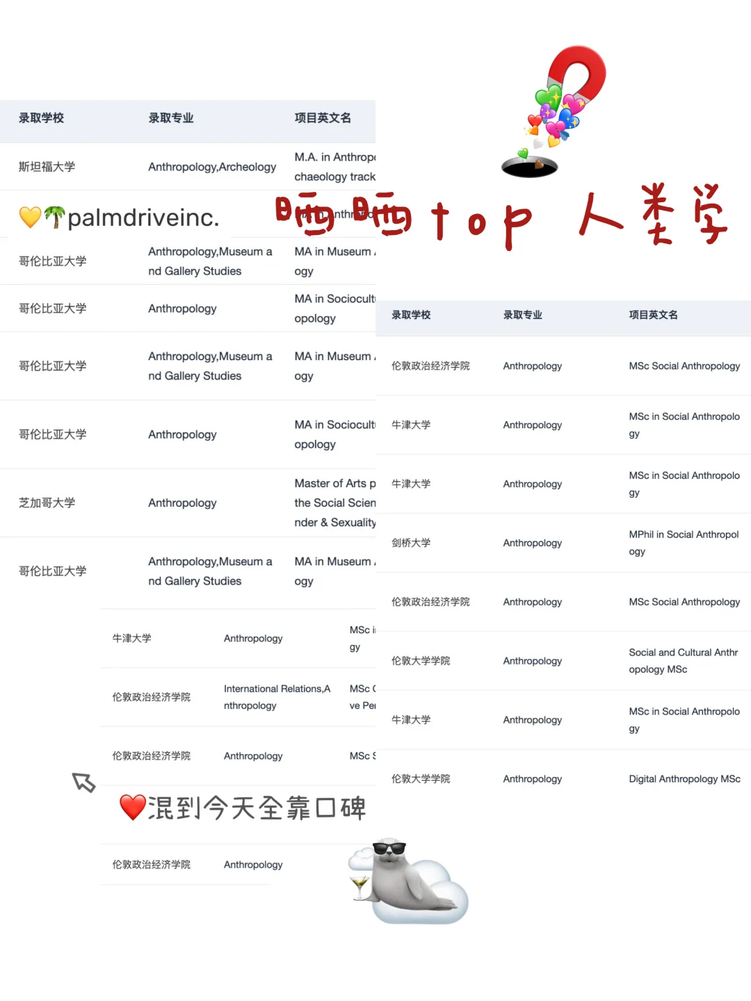 如果申人类学之前看到这篇就好了😭 — 内容图片 2