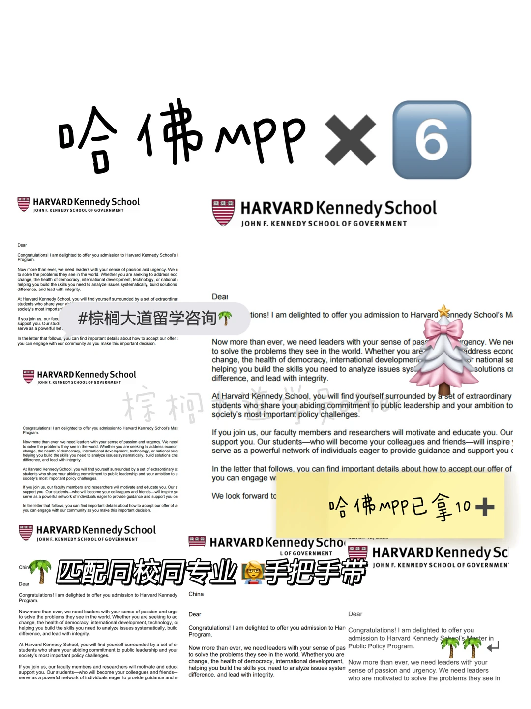 一天拿了6枚哈佛mpp是何意味 — 内容图片 2