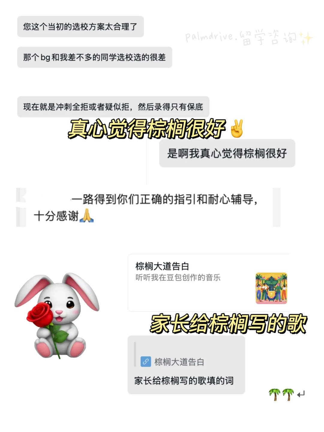 一天拿了6枚哈佛mpp是何意味 — 内容图片 5