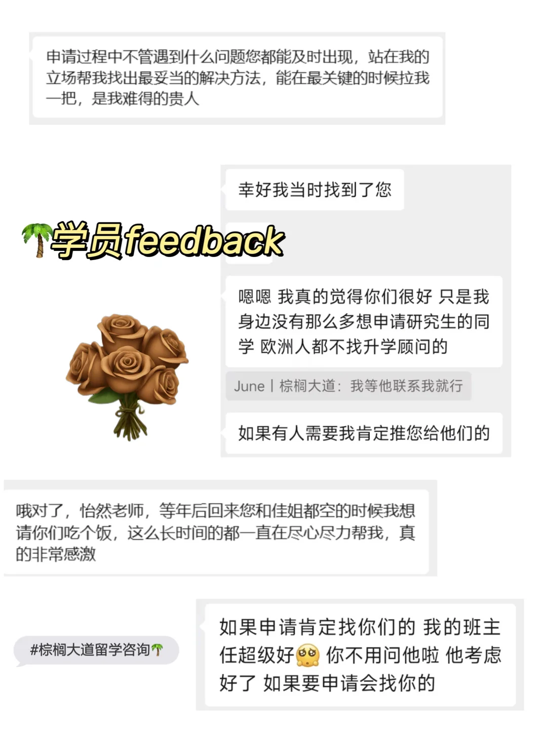 随机抽1枚offer晒 结果抽到了耶鲁全奖MPP — 内容图片 5