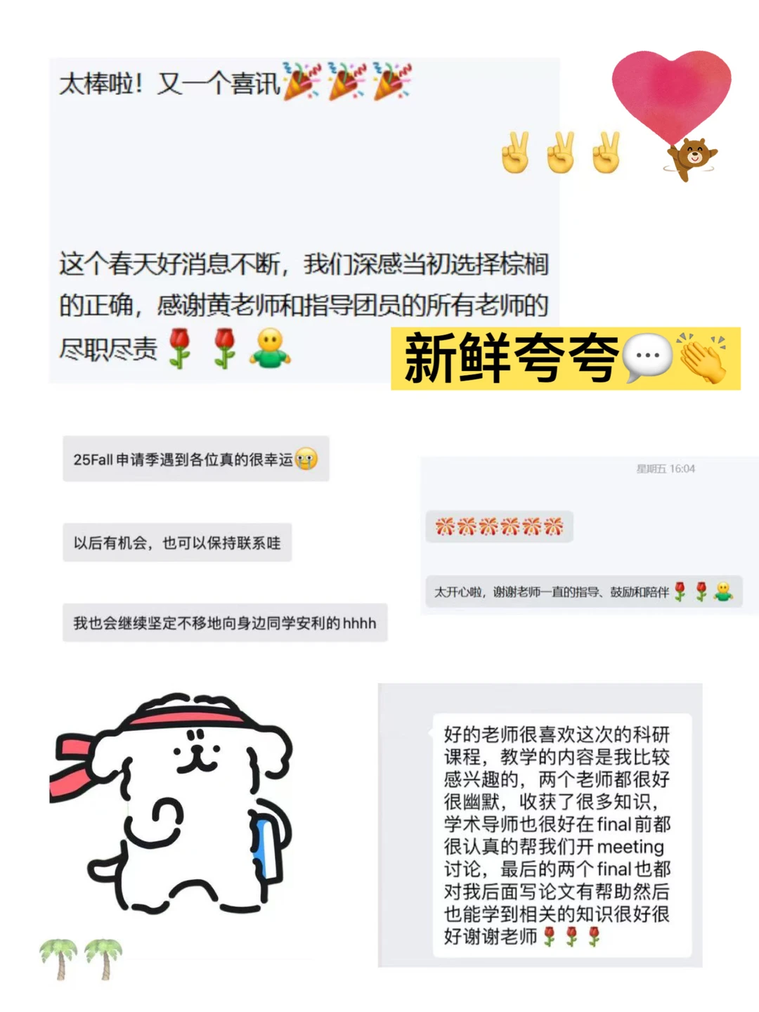感觉是xhs上很少提到的LSE申请Tips — 内容图片 4
