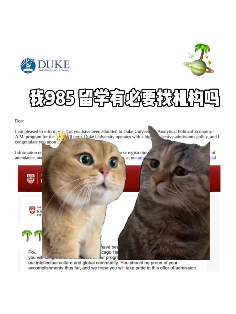 985留学找机构申请 是怎么想的…