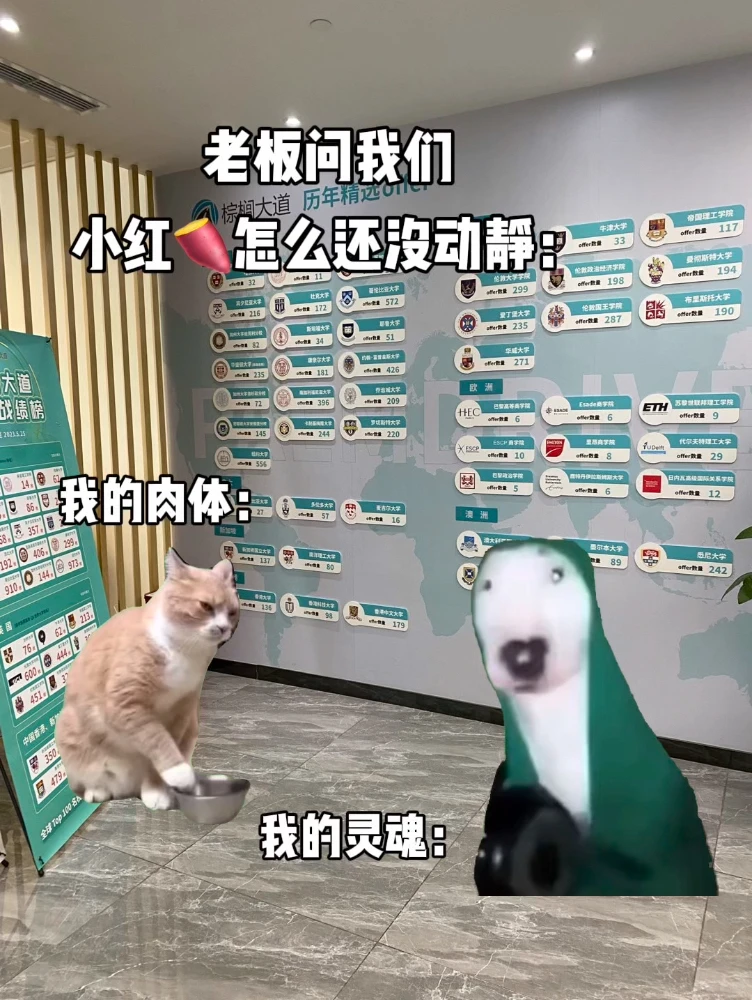 一键丝滑把你送进哈耶普斯麻牛剑的留学中介 — 内容图片 1