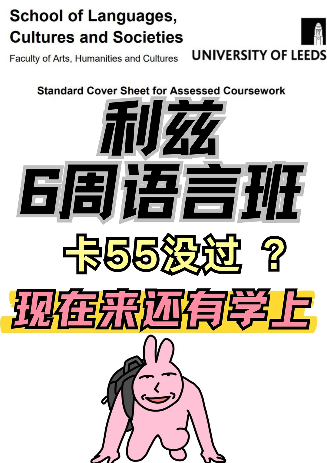 刚出分！🌰6周语言班挂的直接来！我帮你