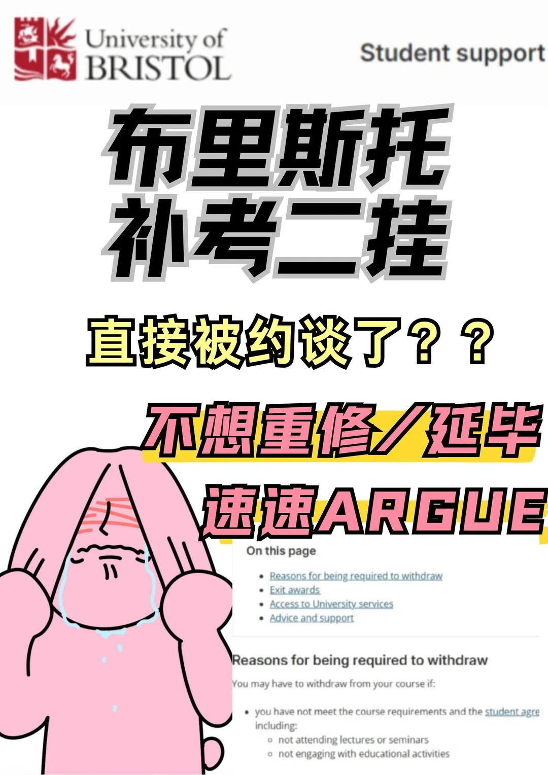 二挂就劝退？布里斯托申诉攻略速看🔧
