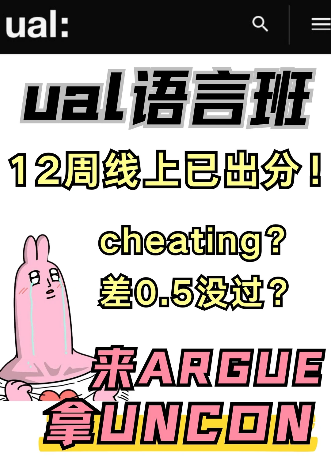 UAL语言班挂科？紧急申诉攻略来救命🚨