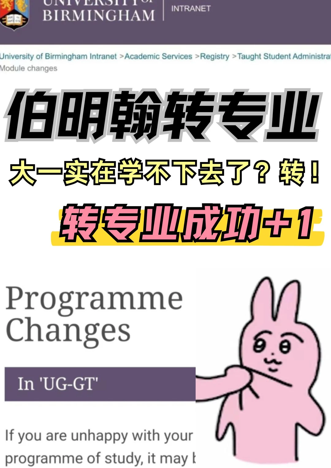 伯明翰大一学不下去了来转专业成功咯！ — 内容图片 1