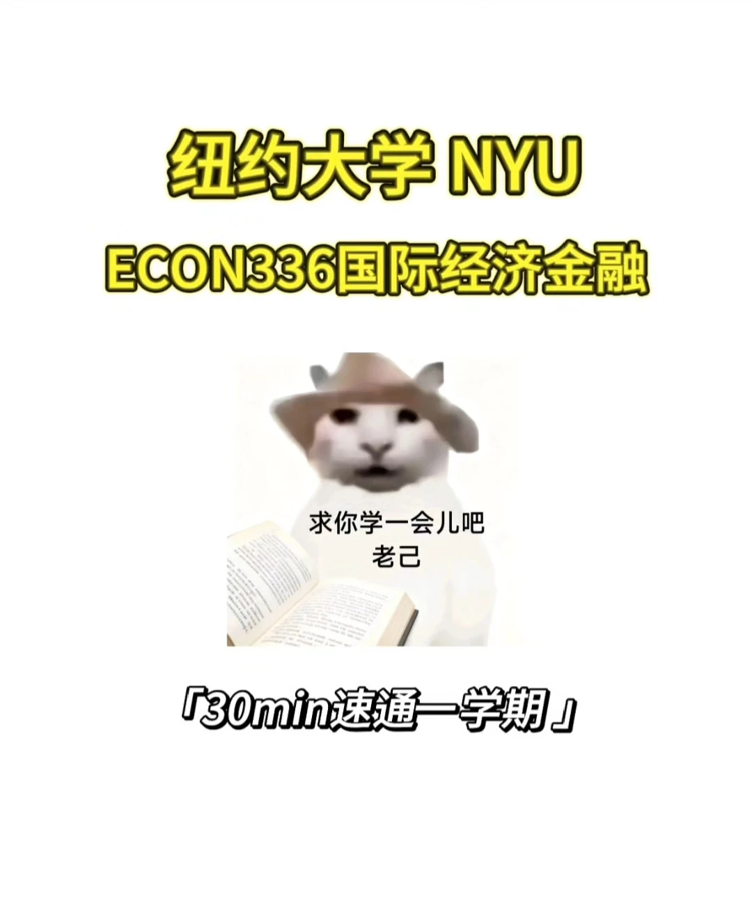 NYU ECON336国际金融线下final如何拿高分❓