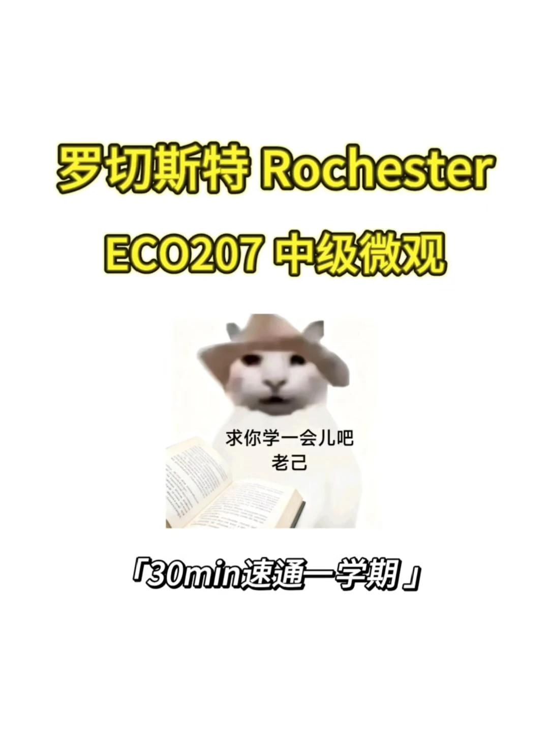 Rochester 线下final如何拿高分❓