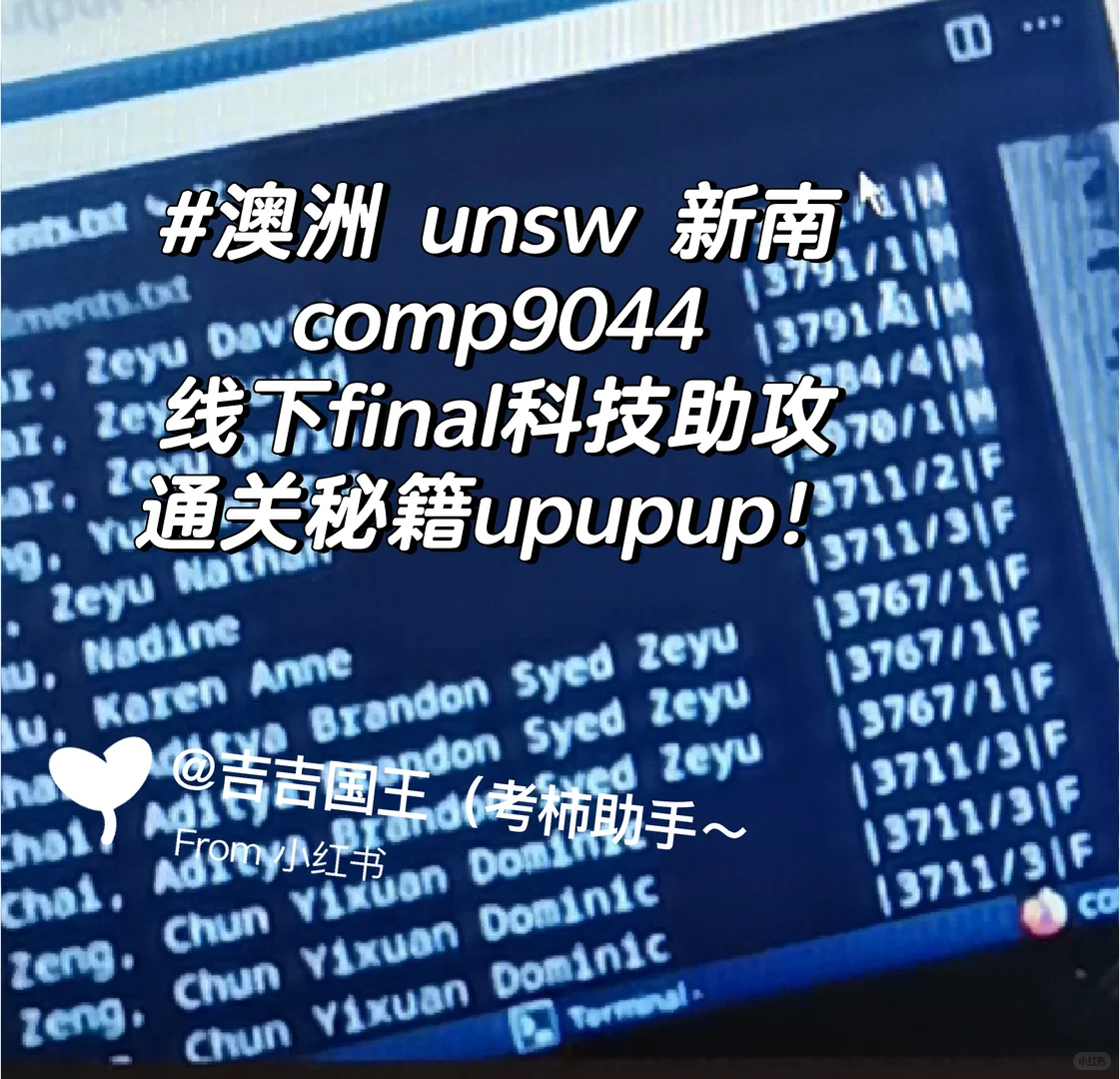 unsw 新南comp9044线下final科技助