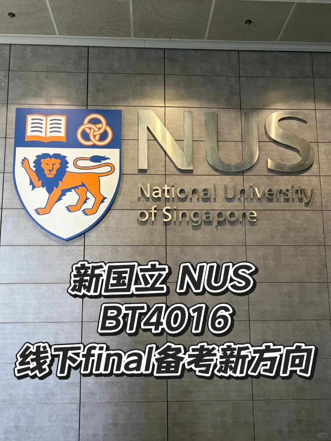 新国立 BT4016 线下final备考新方向来啦
